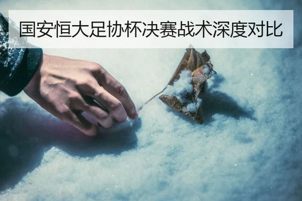国安恒大足协杯决赛战术深度对比